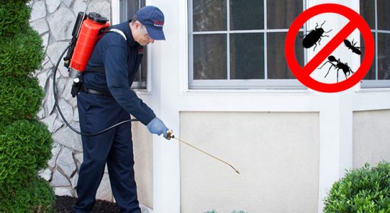Çamlıhemşin Uçan Haşere İlaçlama böcek ilaçlama ve haşere kontrolü — ilaclama-tr.com